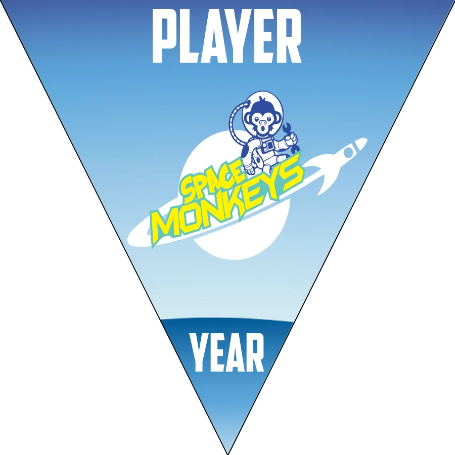 SpaceMonkey-brown-monkey-triangle-softball-banner-designs-picture