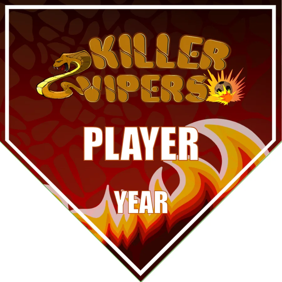 Vipers Killer Soccer Banner-soccer-banner-pictures-picture
