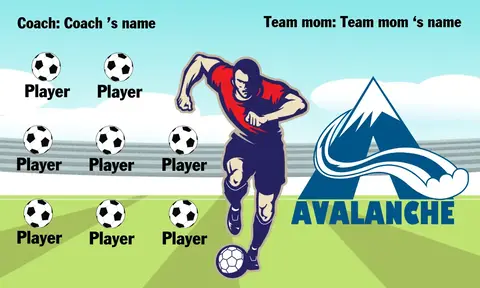 Avalance Soccer Banner-ayso-soccer-banner-dimensions-picture