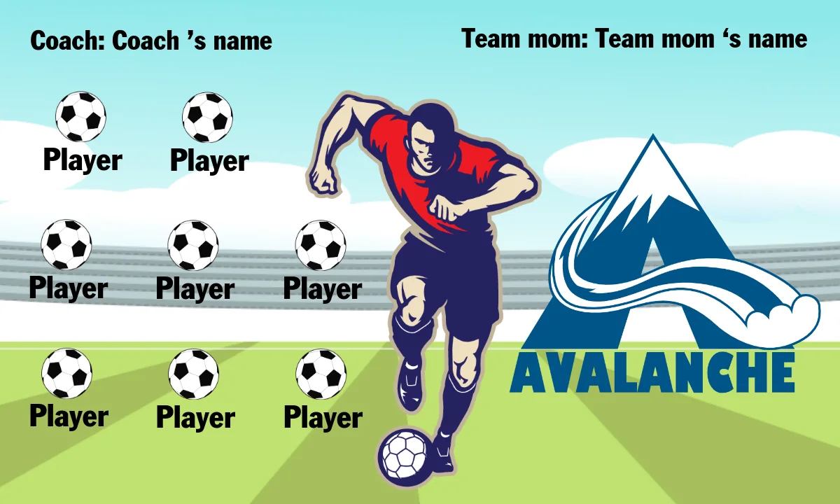 Avalance Soccer Banner-ayso-soccer-banner-dimensions-picture