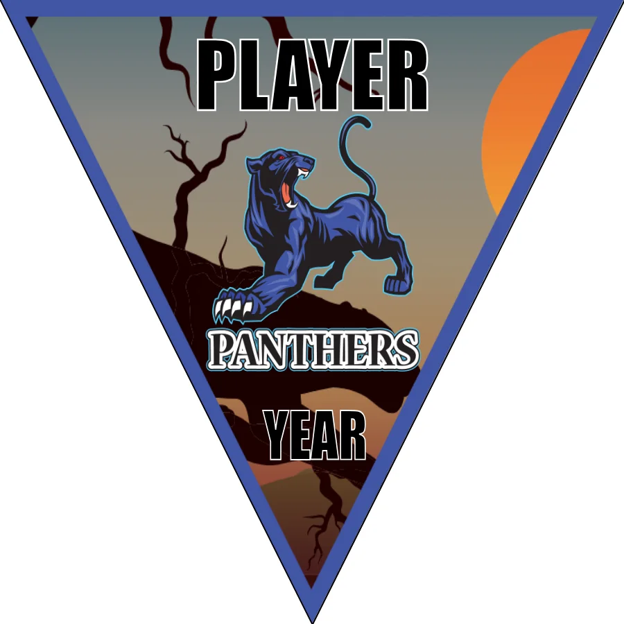 Panther Soccer Banner-soccer-team-banners-ayso-picture