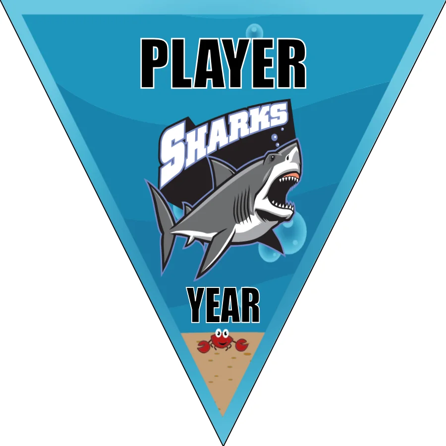 Sharks Soccer Banner-soccer-banners-and-flags-picture