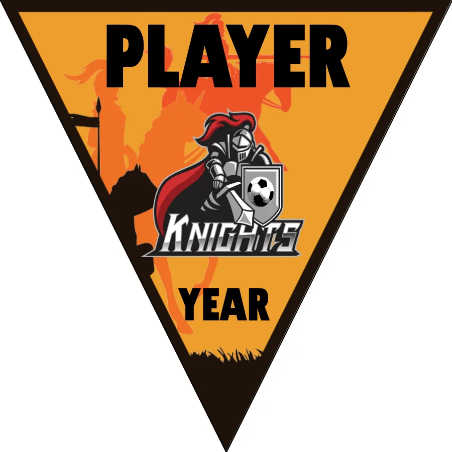 Knights 3 Soccer Banner-soccer-banner-holder-picture