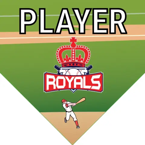 Royal Softball Banner-travel-softball-banners-images
