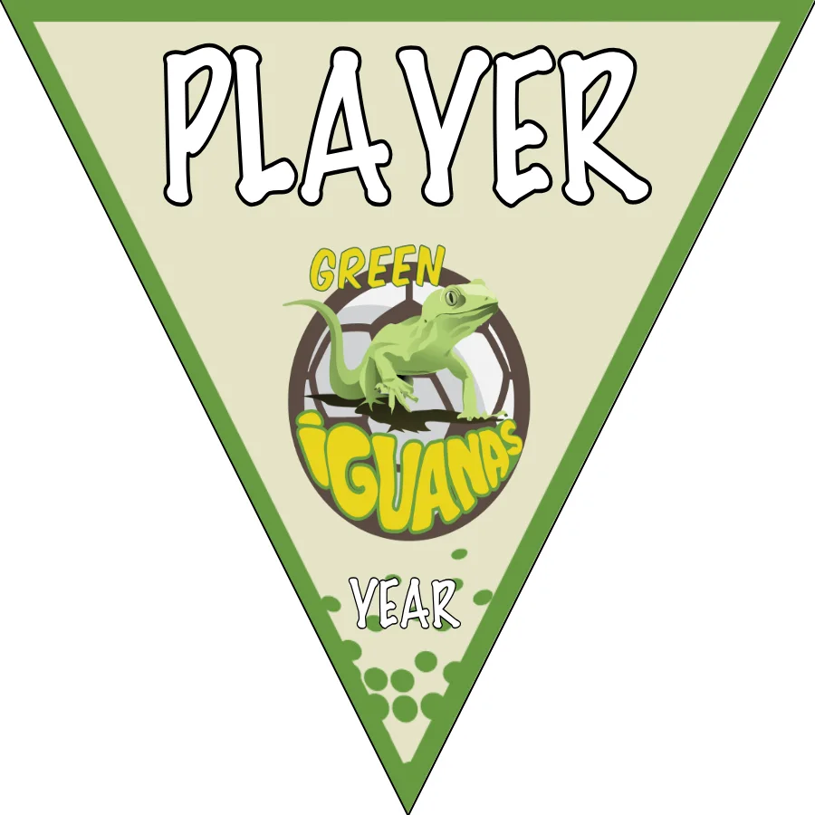 Green Iguanas Soccer Banner-powerpuff-soccer-banner-picture