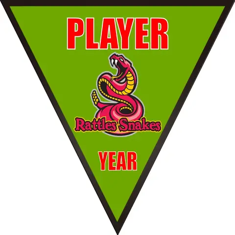 Rattlesnakes Soccer Banner-soccer-field-banners-picture