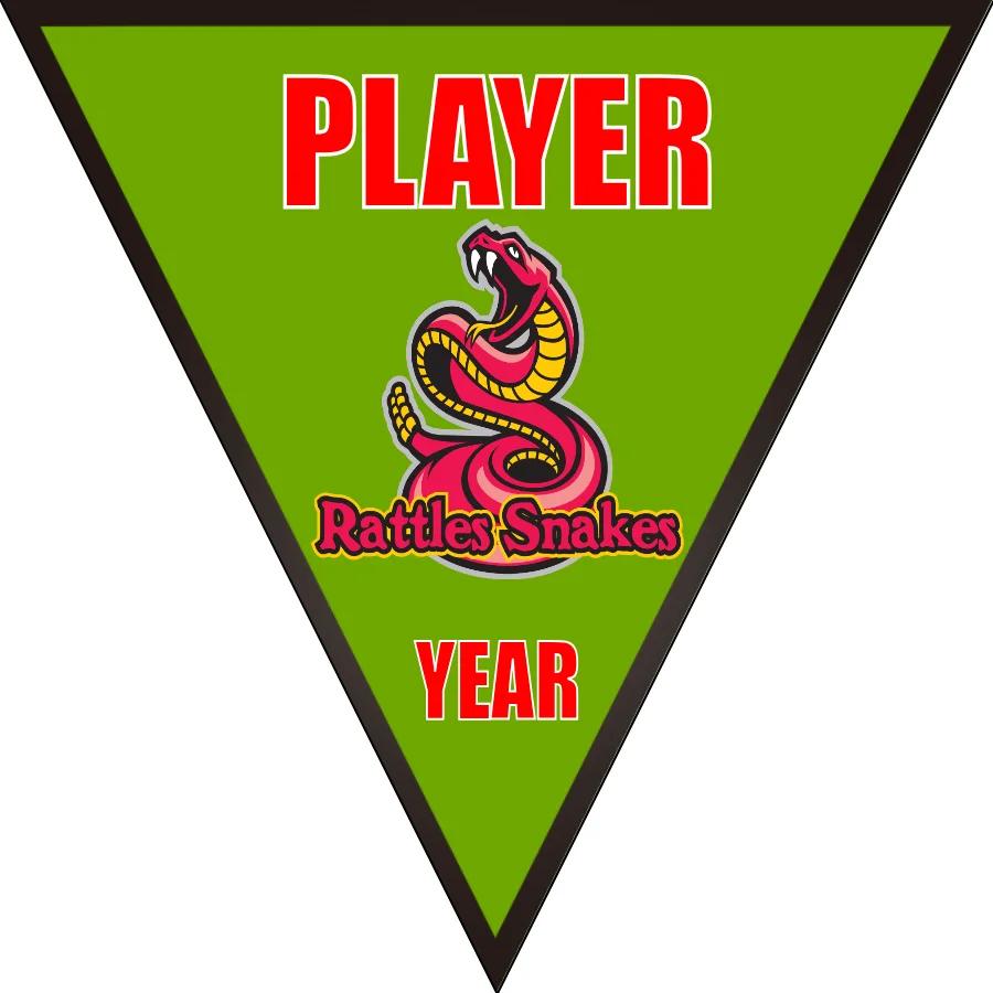 Rattlesnakes Soccer Banner-soccer-field-banners-picture