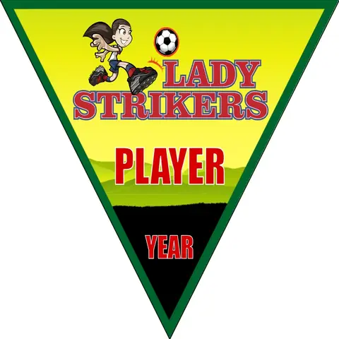 LadyStrikers Soccer Banner-soccer-ball-banner-picture