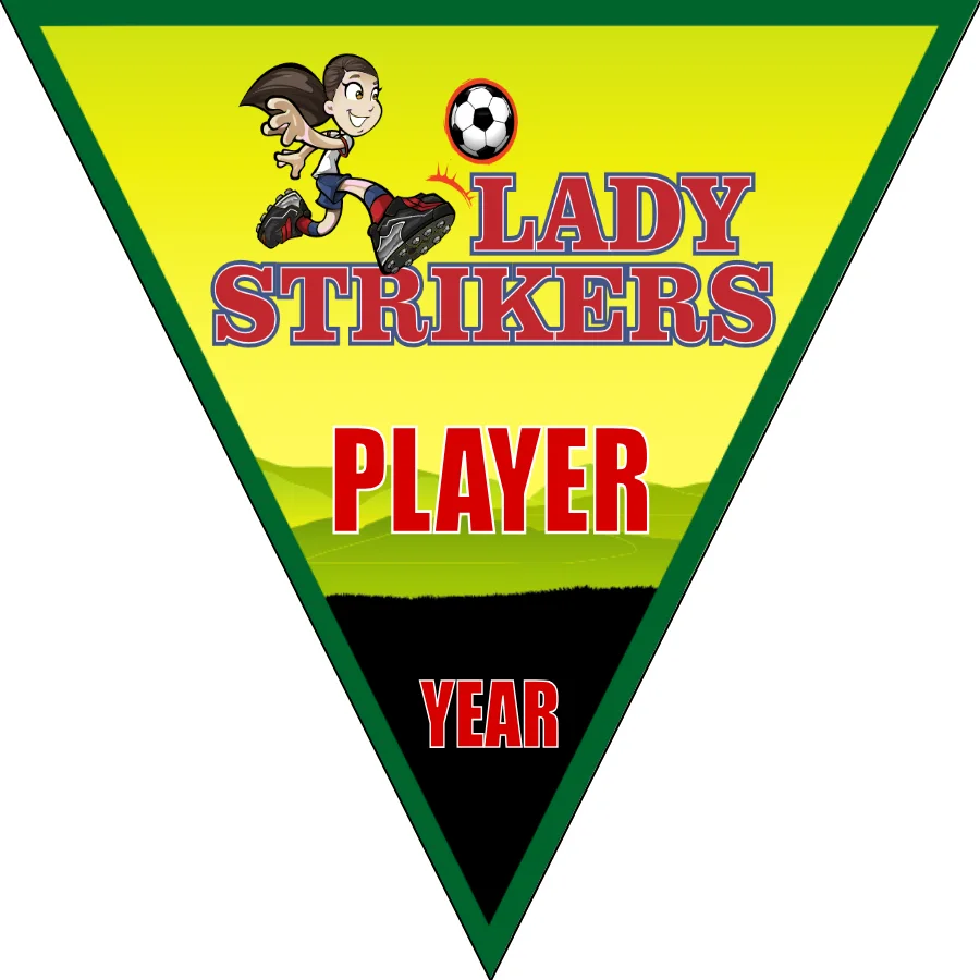 LadyStrikers Soccer Banner-soccer-ball-banner-picture