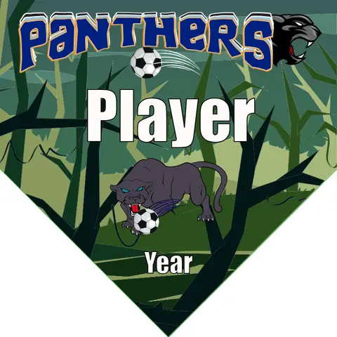 Panthers Soccer Banner-soccer-banner-size-picture