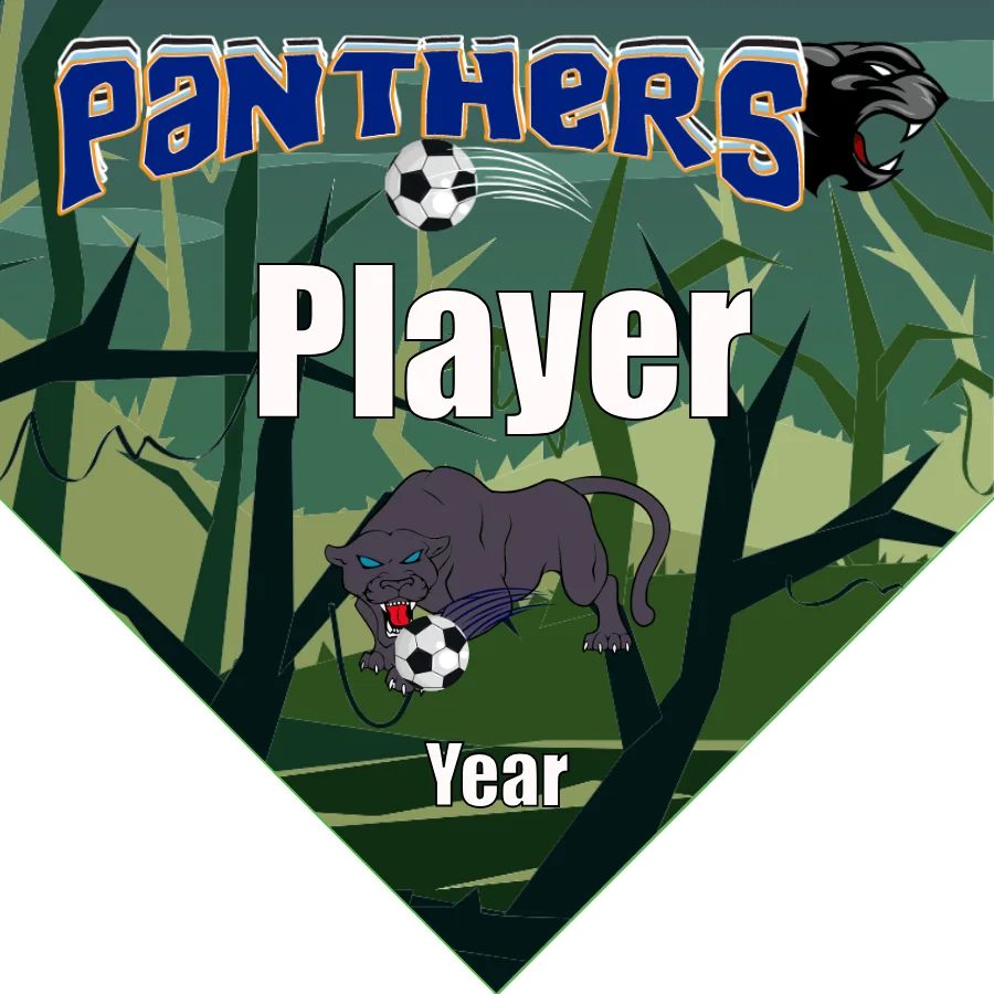 Panthers Soccer Banner-soccer-banner-size-picture