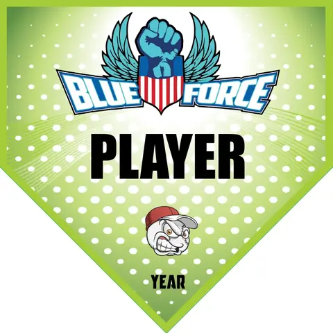 Blueforce Softball Banner-softball-banner-ideas-images