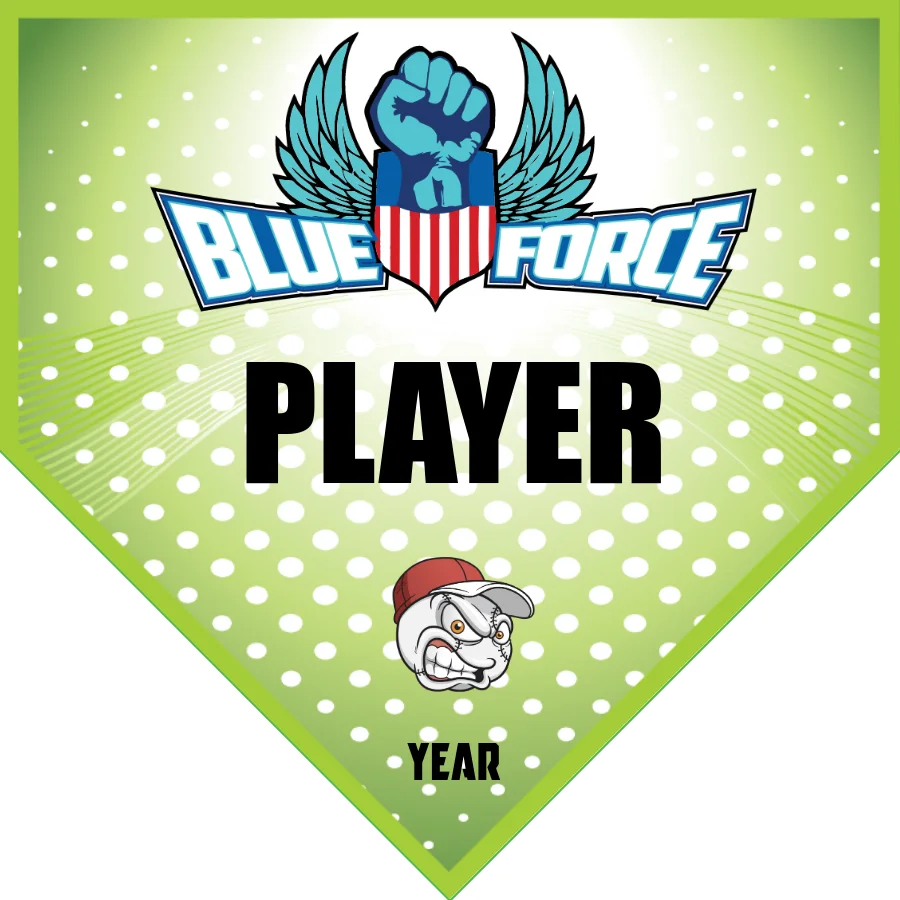 Blueforce Softball Banner-softball-banner-ideas-images