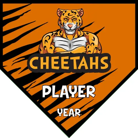 Cheetahs 3 Soccer Banner-soccer-banner-generator-picture