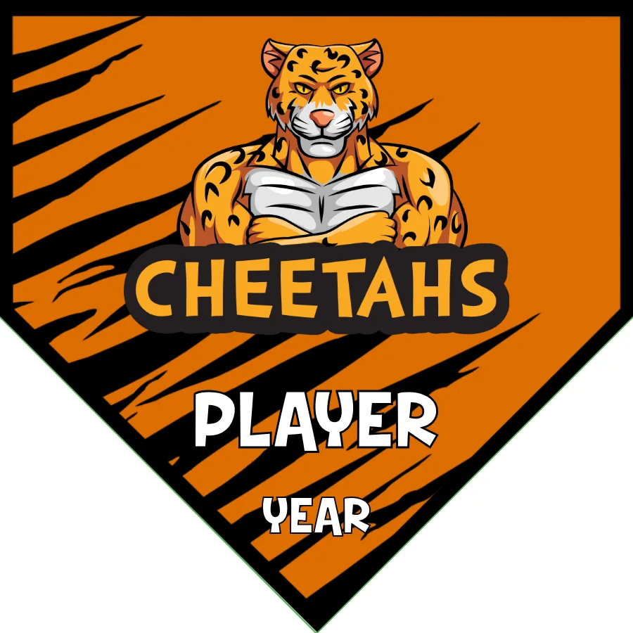 Cheetahs 3 Soccer Banner-soccer-banner-generator-picture