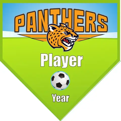 Panthers 2 Soccer Banner-soccer-banner-size-picture