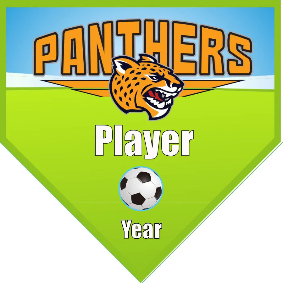 Panthers 2 Soccer Banner-soccer-banner-size-picture