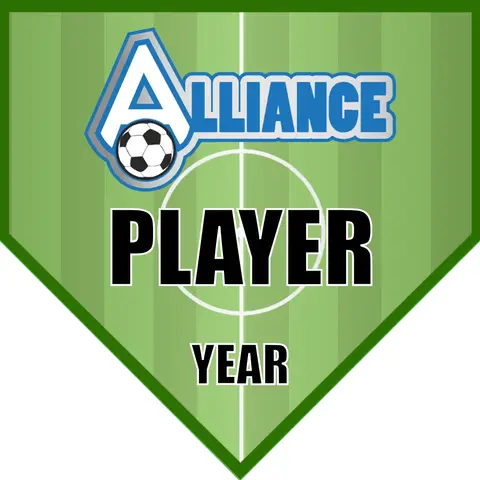 Alliance 1 Soccer Banner-homemade-soccer-banner-ideas-picture