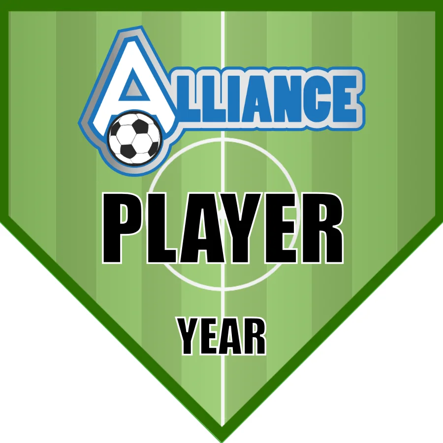 Alliance 1 Soccer Banner-homemade-soccer-banner-ideas-picture