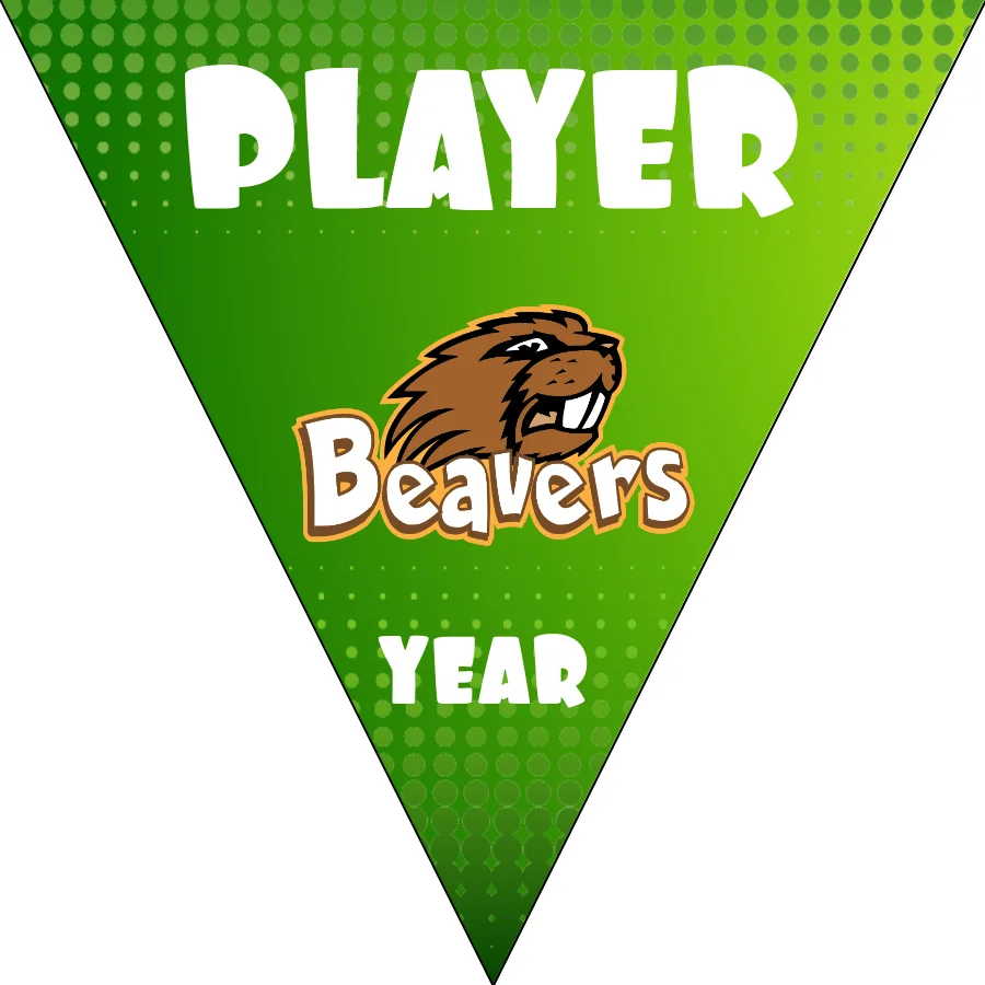 Beavers Soccer Banner-us-soccer-facebook-banner-picture