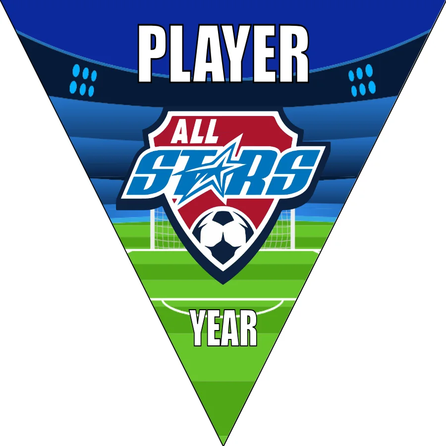 All Stars 2 Soccer Banner-soccer-themed-birthday-banners-picture