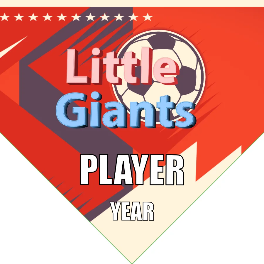 Giants Little Soccer Banner-soccer-team-banners-homemade-picture