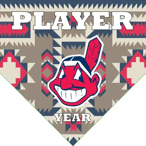 Cleveland Indians 2 Baseball Banner-baseball-team-banners-with-sponsors-images