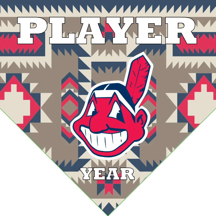 Cleveland Indians 2 Baseball Banner-baseball-team-banners-with-sponsors-images