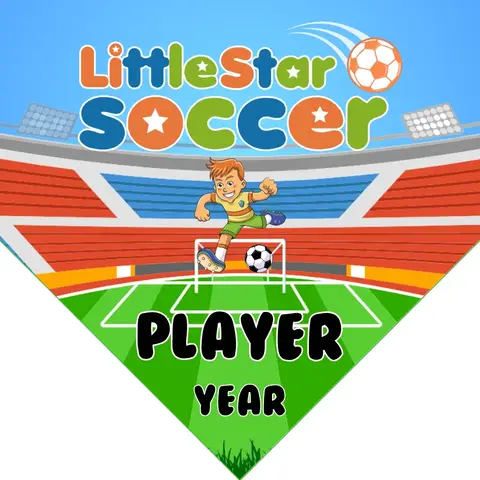 Little Star Soccer Banner-nike-soccer-banner-picture