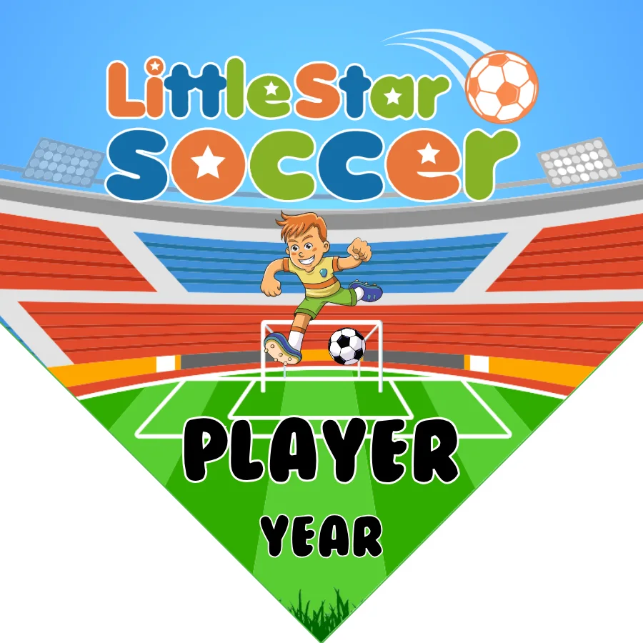 Little Star Soccer Banner-nike-soccer-banner-picture