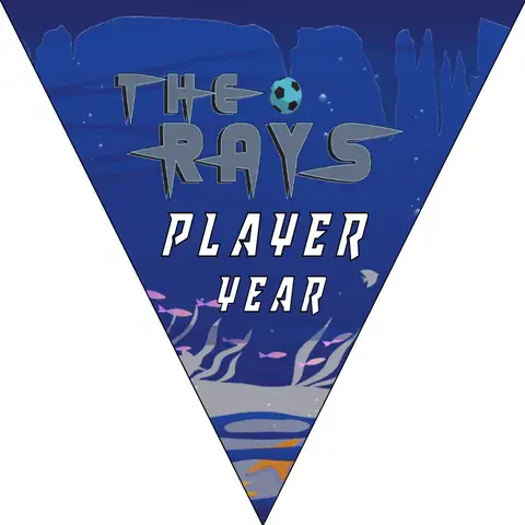 The rays Soccer Banner,-homemade-soccer-banner-ideas-picture