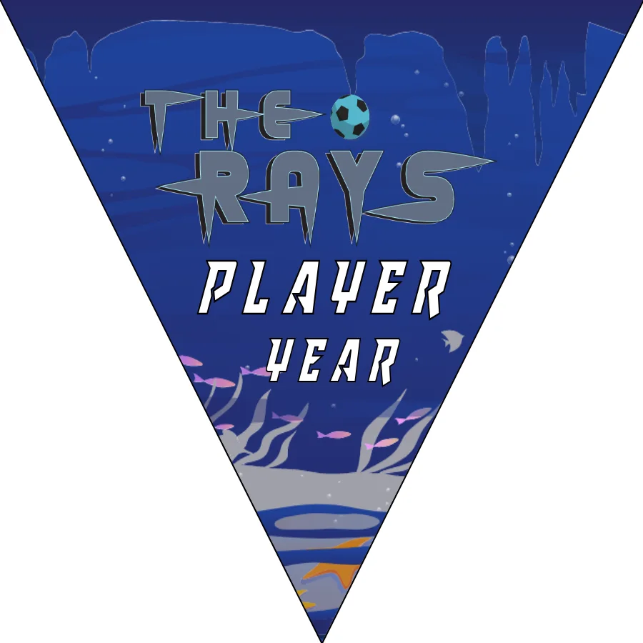 The rays Soccer Banner,-homemade-soccer-banner-ideas-picture