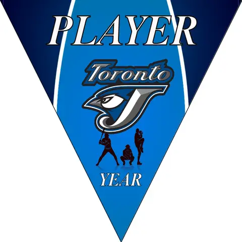 Toronto Baseball Banner-baseball-banners-signs-images