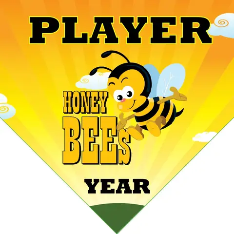 Honey Bees 2 Softball Banner-softball-birthday-banner-images