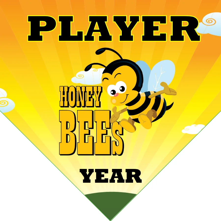 Honey Bees 2 Softball Banner-softball-birthday-banner-images