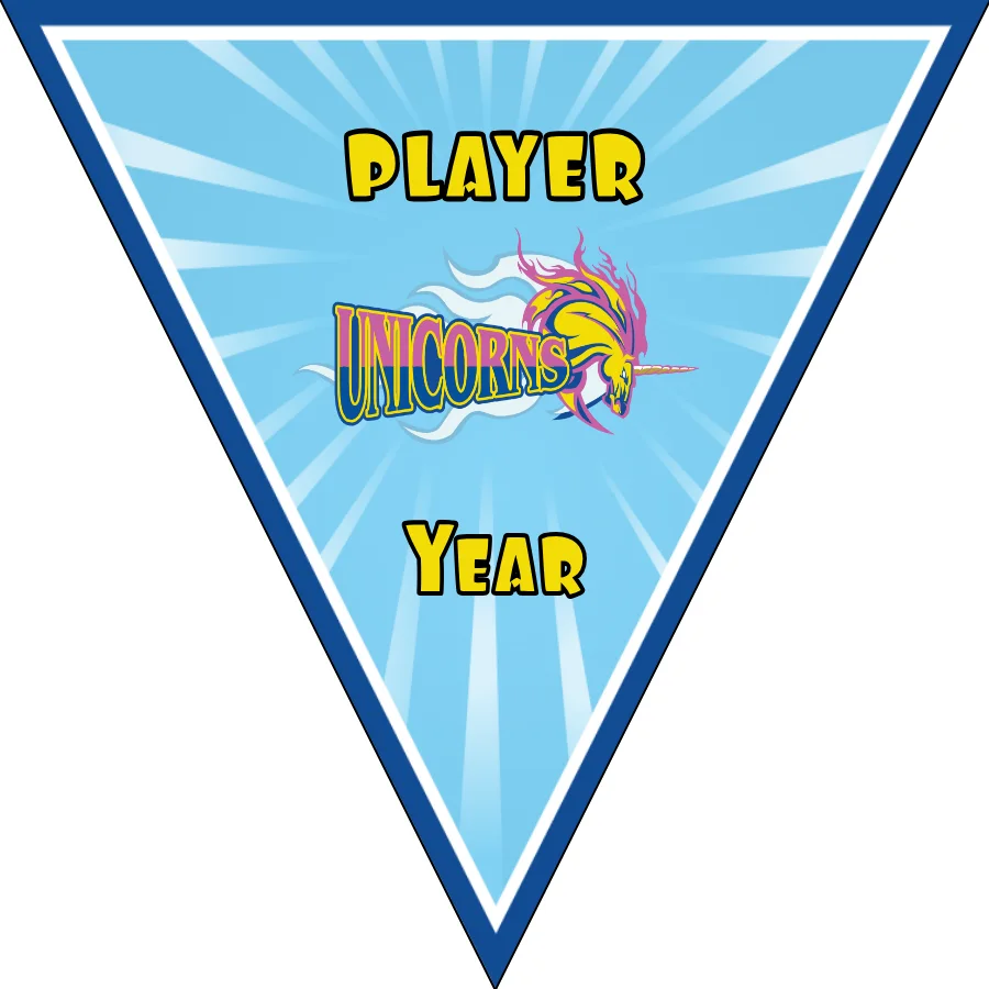 Unicorns 1 Soccer Banner,-homemade-soccer-banner-ideas-picture