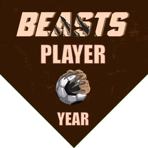 Beasts Soccer Banner-soccer-banner-size-picture