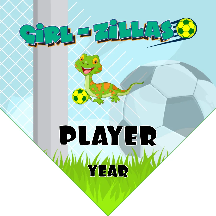 Girl Zillas Soccer Banner-soccer-banner-psd-picture