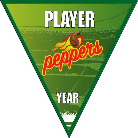 Peppers Twists Soccer Banner-soccer-banner-frame-picture