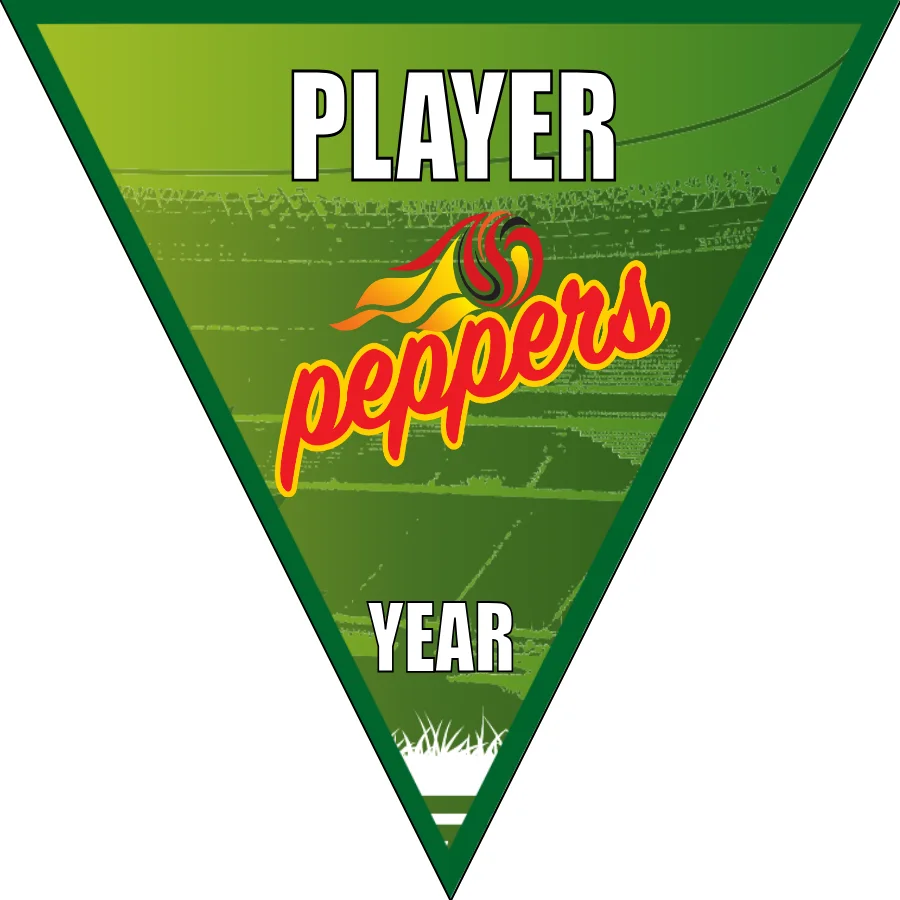 Peppers Twists Soccer Banner-soccer-banner-frame-picture