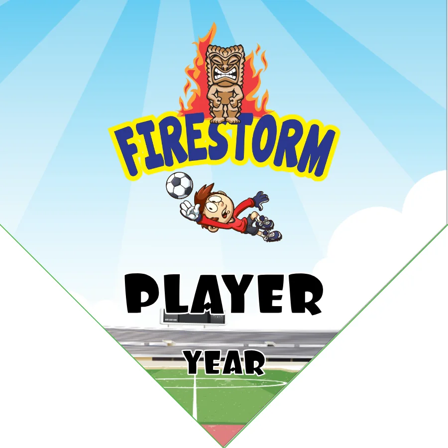 FireStorm Soccer Banner-soccer-banners-corona-ca-picture