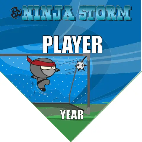 Ninja Storm Soccer Banner-soccer-team-banner-picture