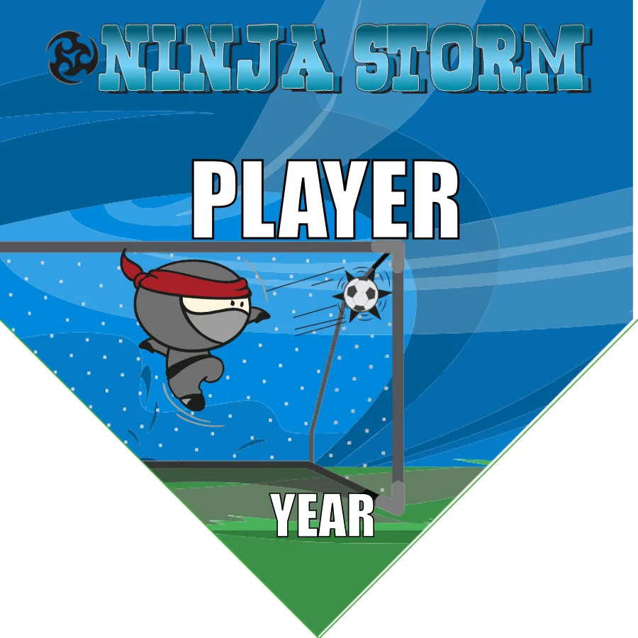 Ninja Storm Soccer Banner-soccer-team-banner-picture
