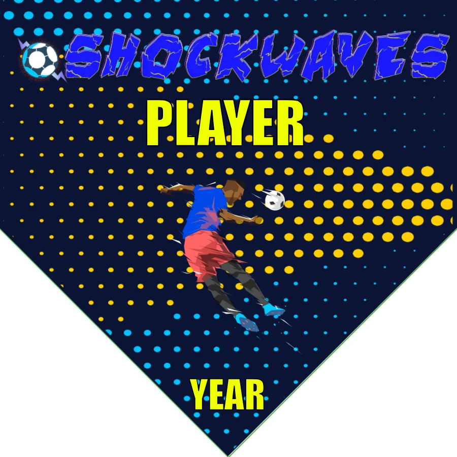 Shockwaves Soccer Banner-soccer-banners-and-flags-picture
