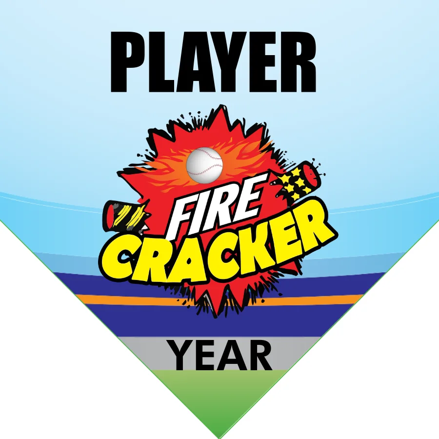Firecracker Softball Banner-softball-banner-gallery-images