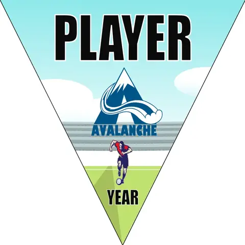Avalance Soccer Banner-soccer-banner-backgrounds-picture
