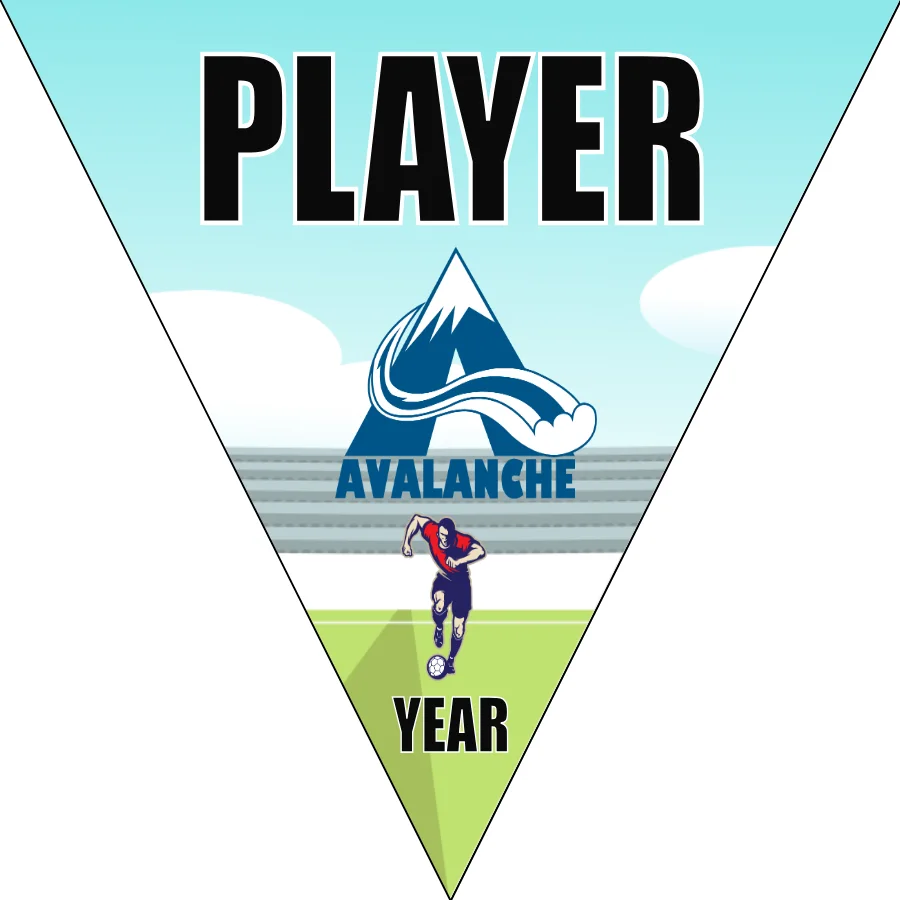 Avalance Soccer Banner-soccer-banner-backgrounds-picture