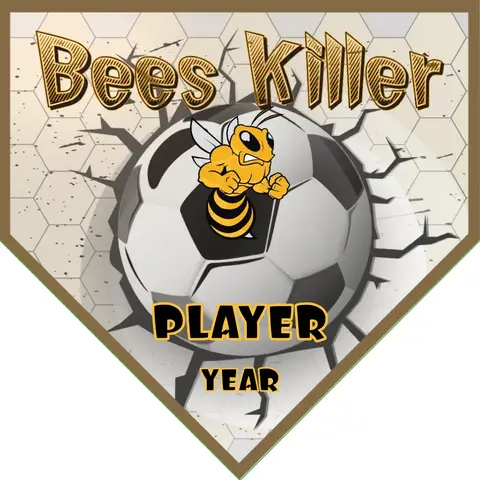 Bees Killer Soccer Banner-making-a-soccer-banner-picture