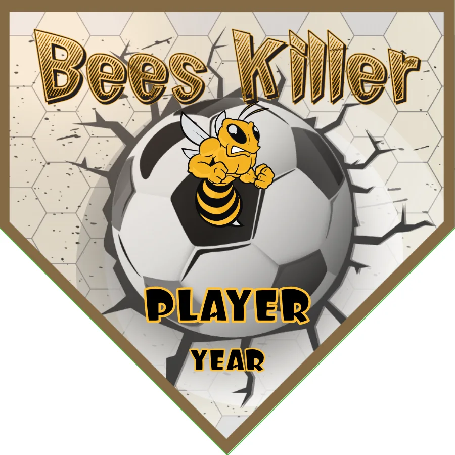 Bees Killer Soccer Banner-making-a-soccer-banner-picture
