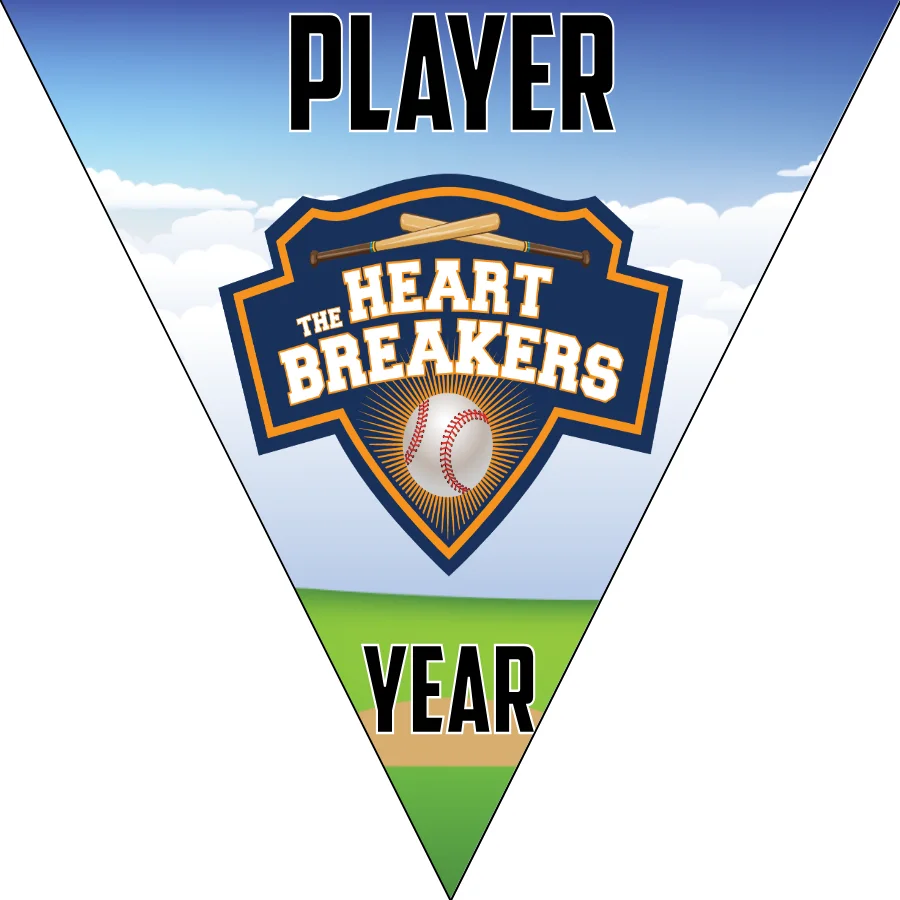 The Heartbreakers 2 -blue-boy-triangle-softball-banner-cost-picture